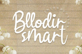 Bllodir Smart: A Friendly Font for Web Design