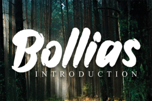 Bollias: A Handwritten Font for Creative Campaigns