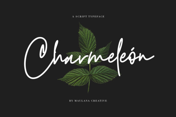 Charmeleon: A Magical Script Font